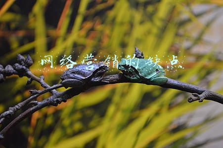 网络营销的方法(网络营销的9种方式，不懂？别装懂)