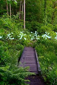 水龙头净水器真的有用吗(几十元到几百元不等的水龙头净水器真的有效果吗？)