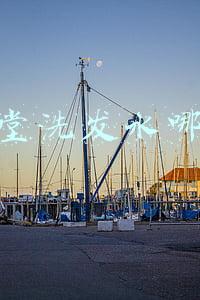 资生堂洗发水哪款好