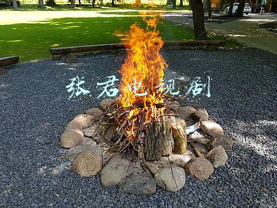 张君电视剧