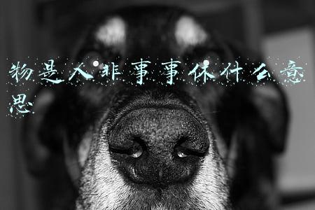 李清照物是人非事事休(李清照无心赏花，写下一首词，中间两句最经典，读过的人都哭了)