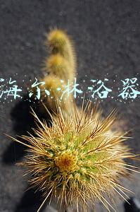 海尔淋浴器