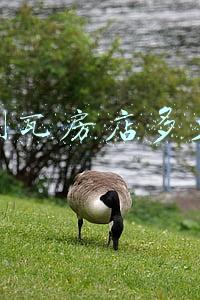 瓦房店到庄河汽车站的时间表《瓦房店到庄河汽车站时刻表》