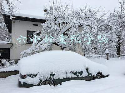 六小龄童死了吗