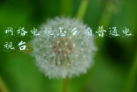 网络电视怎么调出电视台频道(中央广播电视总台关于授权全国各省级卫视转播2022年北京冬奥会、冬残奥会开闭幕式的声明)