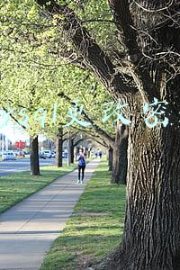 mysql更改密码语句(mysql怎么更改密码？)