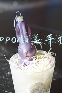 oppo翻盖手机