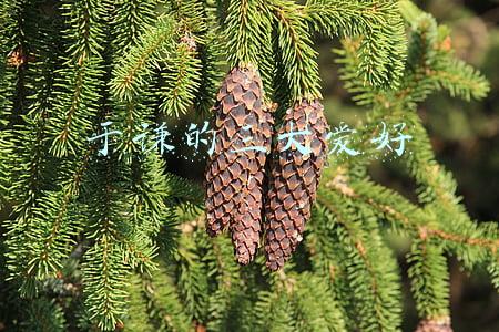 于谦的三大爱好抽烟喝酒烫头相声(抽烟、喝酒、烫头真的是于谦的三大爱好吗？于谦：我就爱玩儿)