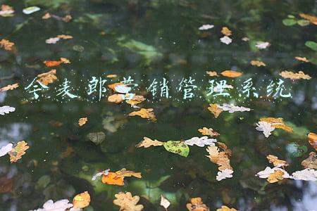 今麦郎移动快销管理系统(8点1氪丨iOS 15.4测试版支持戴口罩解锁；雷军回应卸任小米电子董事长；微博拟上线一键隔离网络暴力模式)