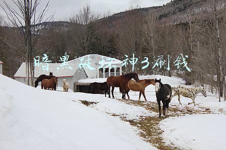 暗黑破坏神3刷钱攻略(玩游戏怎么赚钱？这些剑三衍生的“副业”，有的可以月入过万)