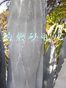 美的紫砂电炖锅