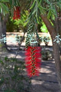 海淘网(告别假代购！十大热门海淘网站推荐，岂止是划算)
