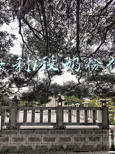 雅士利1段奶粉价格
