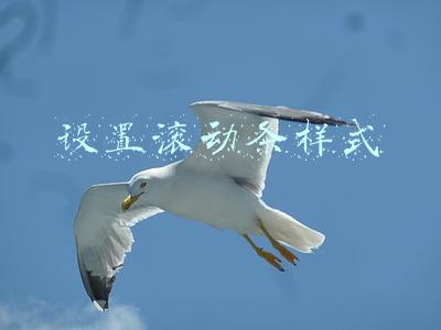 设置滚动条样式
