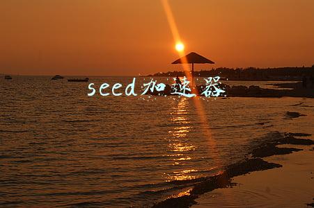 seed加速器
