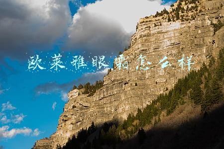 欧莱雅眼霜怎么样