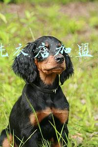 ucc国际洗衣加盟骗局 ucc国际洗衣加盟靠谱吗
