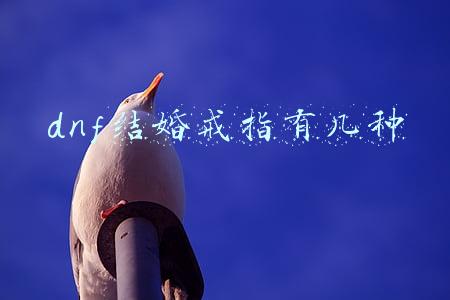 dnf结婚戒指有几种