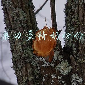 雀巢力多精怎么样(“雀巢力多精”金装3，三大特点呵护中国宝宝健康成长)