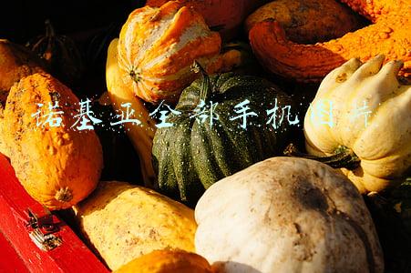 诺基亚全部手机图片
