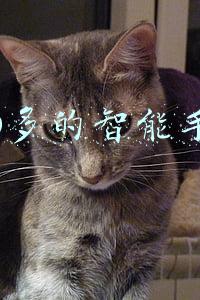 1000以上的手机(不割韭菜，这四款千元机才是真正的良心，闭眼买系列盘点)