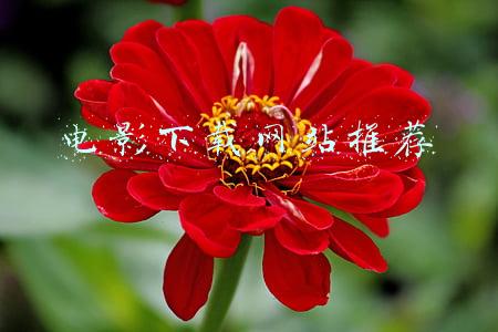 高清电影下载网站推荐(珍藏已久5大免费电影网站，都是十足的干货，建议收藏)