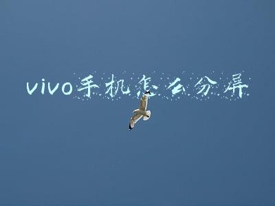 vivo手机怎么分屏玩游戏(双屏触控+双屏多任务：vivo NEX双屏版开启全新游戏模式！)