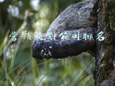 营销策划公司排名品牌策划机构十大排行榜(比较好的品牌策划公司有哪些？)