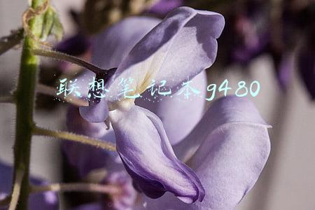 联想笔记本g480配置能升级吗(佰微SSD：闲置笔记本升级，加固态改光驱，系统迁移详细教程)
