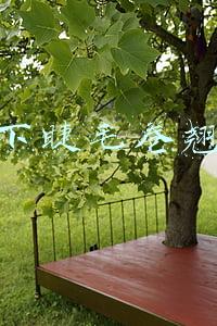 松下睫毛卷翘器无法加热(万字长文，带你看透特斯拉的发展核心以及未来预期)