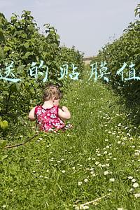 汽车店贴膜一般多少钱，汽车4s店贴膜一般多少钱
