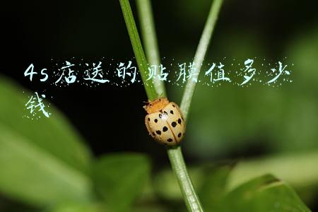 4s店送的贴膜要不要贴_4s店送的贴膜能不能贴