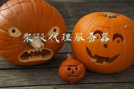 架设代理服务器