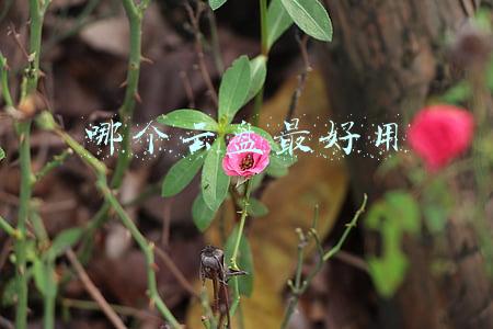 哪个云盘最好用最安全(阿里云盘这是不打算做网盘了？)