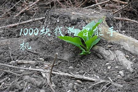 1000块钱的智能手机