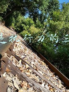 执行力的三大要素是什么(关于提高执行力的四个要诀，建议收藏)