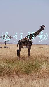 如何退订移动业务套餐(投诉中国移动的有效方法)