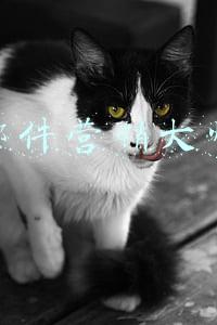 邮件营销大师