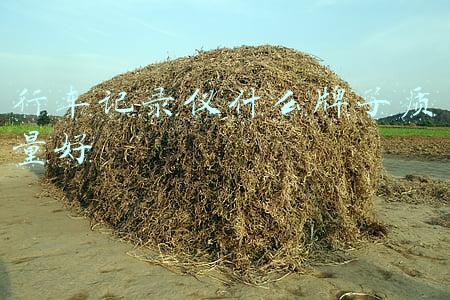 行车记录仪10大牌子(2022年春节出行记录仪应该怎么选，三大行车记录仪品牌实测)