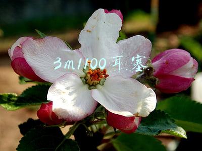 3m1100耳塞一个能用多久(我曾经失眠五六年，陆续添置了7种助眠家居用品，现在感觉好多了)