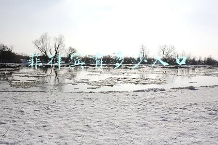 菲律宾有多少人口