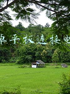 安卓平板连接电脑没反应(中秋佳节也不免007 实测安卓平板移动办公体验)