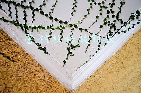 营销软件破解版