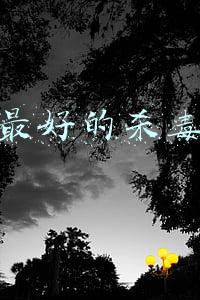 中国最好的杀毒软件