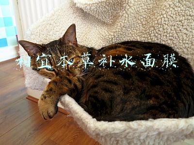 相宜本草补水面膜