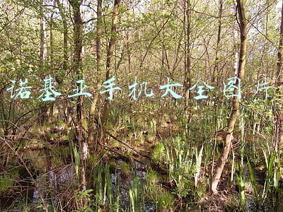 诺基亚手机大全图片 诺基亚手机大全图片