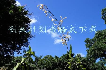 创业计划书格式下载
