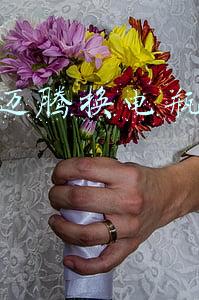 迈腾原装电瓶多少钱（迈腾原厂电瓶多少钱）