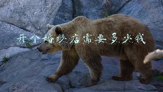 婚纱店投资多少钱照_婚纱店投资多少钱