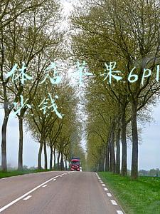实体店苹果6plus多少钱2019(实体店苹果6plus多少钱)